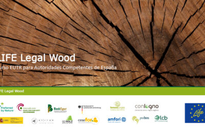 Éxito de participación en los talleres en línea celebrados en España para la implementación del EUTR – Proyecto LIFE Legal Wood.