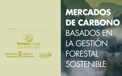 MERCADOS DE CARBONO Basados en la Gestión Forestal Sostenible