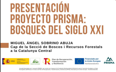 Presentación de PROYECTO PRISMA
