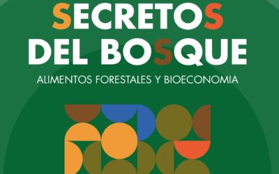 JORNADA SECRETOS DEL BOSQUE