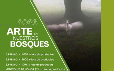 Foresna-Zurgaia convoca el III Concurso Fotográfico “Arte en nuestros bosques”
