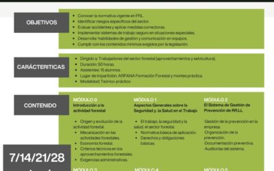 Curso básico formación recursos preventivos en obra forestal
