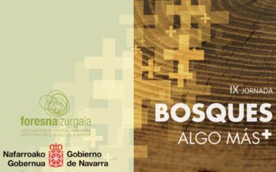 IX. Bosques Algo +